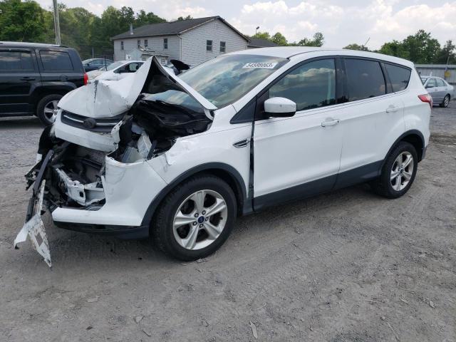 FORD ESCAPE SE 2014 with VIN 1FMCU9GX8EUD44650 - Photo from auction