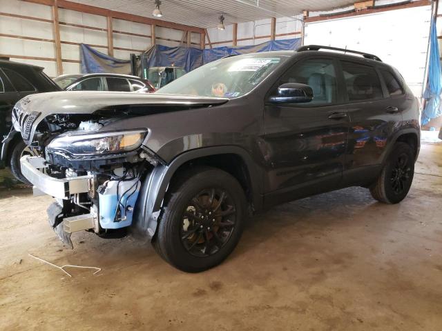 JEEP CHEROKEE A 2023 with VIN 1C4PJMMB0PD114131 - Photo from auction