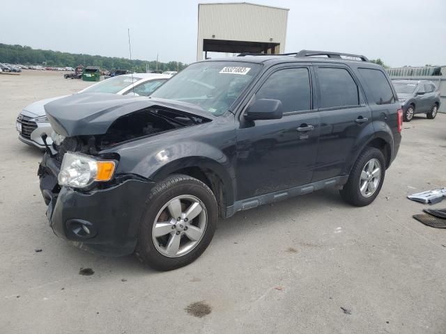 FORD ESCAPE XLT 2011 with VIN 1FMCU9D7XBKA87003 - Photo from auction