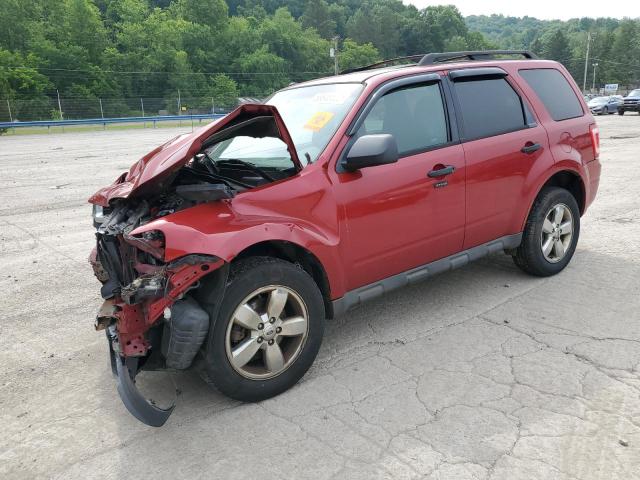 FORD ESCAPE XLT 2011 with VIN 1FMCU0D76BKA37677 - Photo from auction