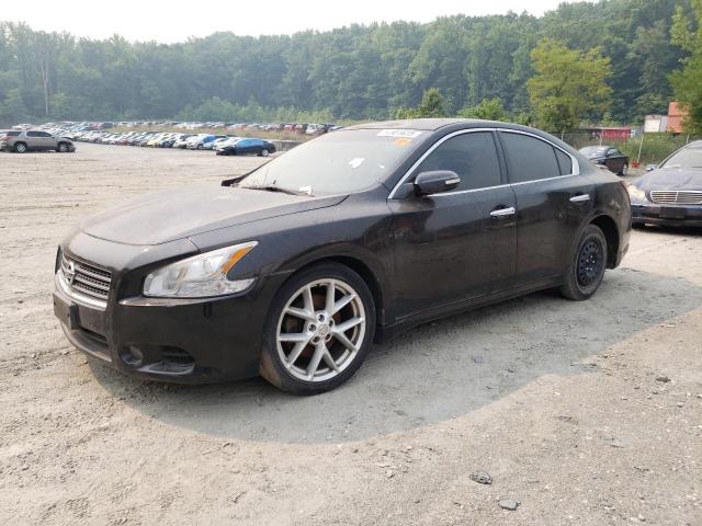 Photo 1 from auction – 2009 NISSAN MAXIMA S with VIN 1N4AA51E39C846990
