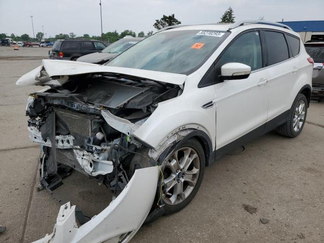 FORD ESCAPE TIT 2014 with VIN 1FMCU0J98EUC91809 - Photo from auction