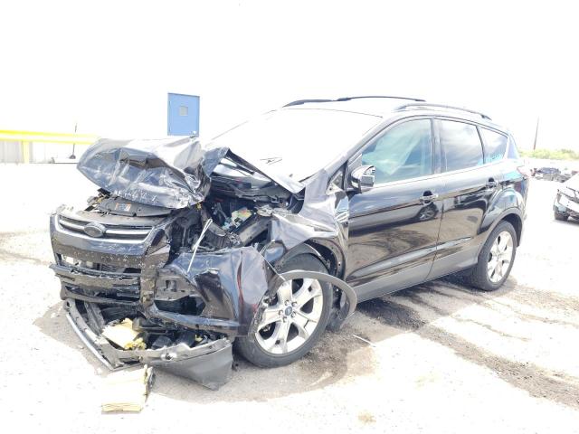 FORD ESCAPE SEL 2013 with VIN 1FMCU0H9XDUC35987 - Photo from auction