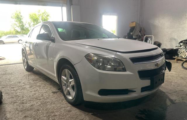 CHEVROLET MALIBU LS 2012 with VIN 1G1ZB5E05CF318553 - Photo from auction