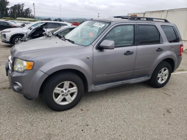 FORD ESCAPE HEV 2008 with VIN 1FMCU49H28KC40180 - Photo from auction