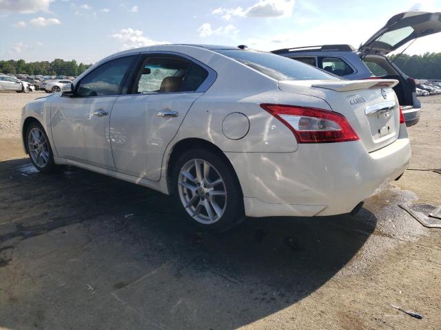 Photo 2 from auction – 2009 NISSAN MAXIMA S with VIN 1N4AA51E09C836577