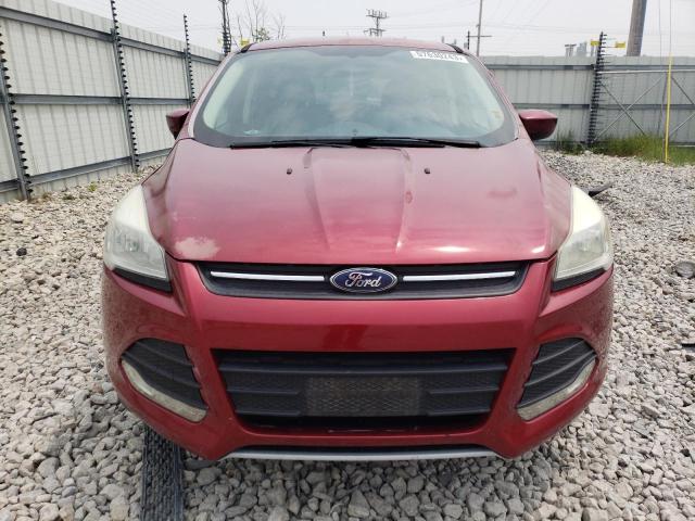 Photo 5 from auction – 2014 FORD ESCAPE SE with VIN 1FMCU0GX8EUB31743