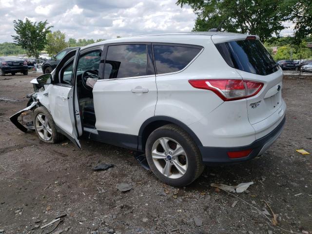 Photo 2 from auction – 2014 FORD ESCAPE SE with VIN 1FMCU0GX6EUE07692