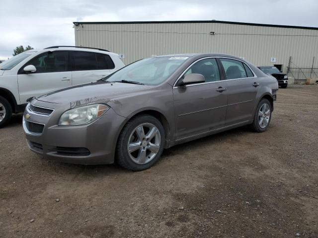 Photo 1 from auction – 2010 CHEVROLET MALIBU 2LT with VIN 1G1ZD5E09AF290375