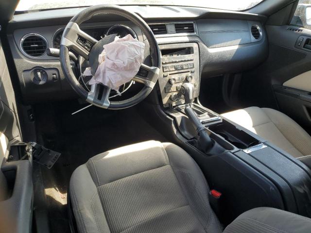 Photo 8 from auction – 2013 FORD MUSTANG with VIN 1ZVBP8AM4D5259651