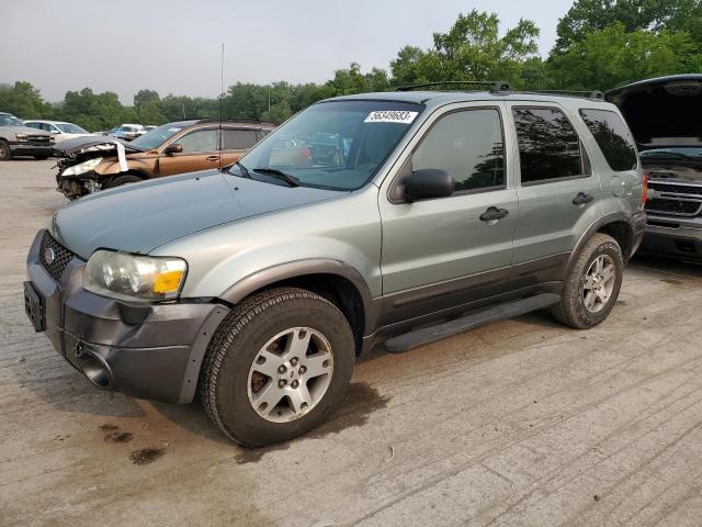 FORD ESCAPE XLT 2005 with VIN 1FMYU93195KC28487 - Photo from auction