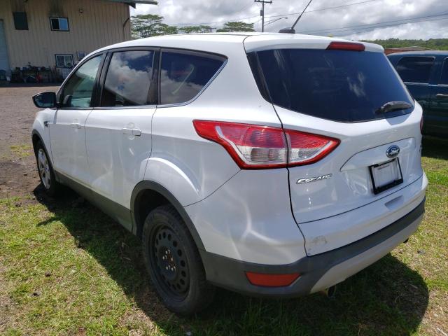 Photo 2 from auction – 2013 FORD ESCAPE SE with VIN 1FMCU9GX1DUC72589