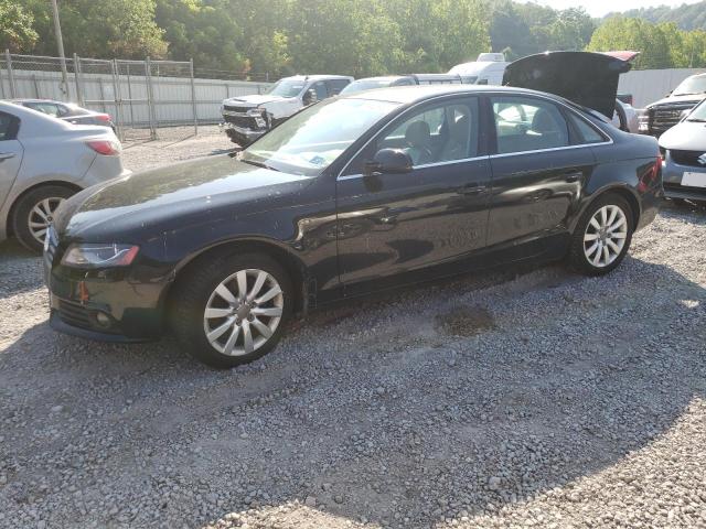 AUDI A4 PREMIUM 2011 with VIN WAUFFAFL1BN033561 - Photo from auction