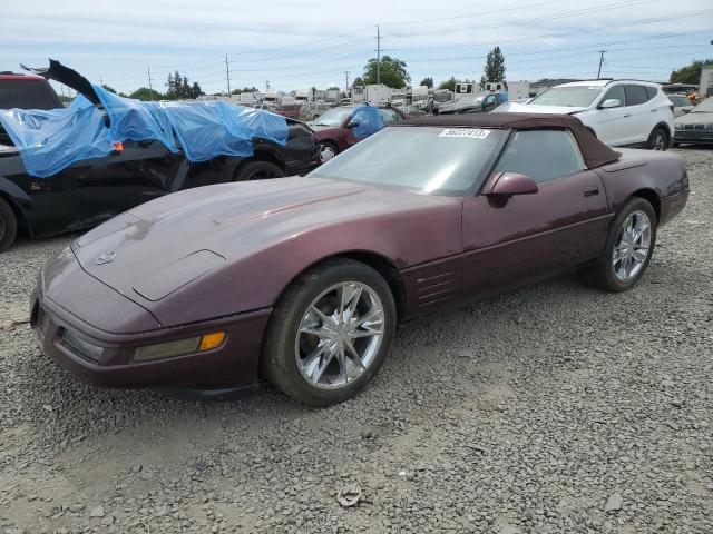 CHEVROLET CORVETTE 1990 with VIN 1G1YY338XL5116854 - Photo from auction
