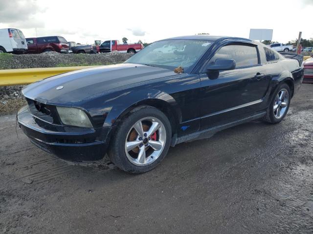 FORD MUSTANG 2006 with VIN 1ZVFT80N165258564 - Photo from auction