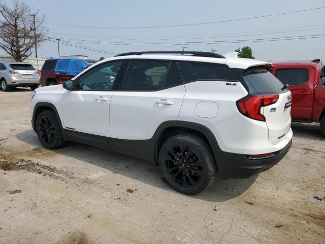 Photo 2 from auction – 2021 GMC TERRAIN SL with VIN 3GKALTEV0ML322569