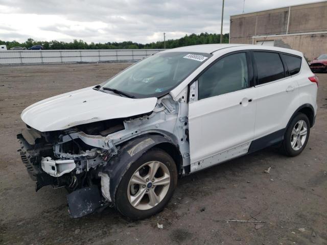 FORD ESCAPE SE 2014 with VIN 1FMCU0GX1EUE07650 - Photo from auction