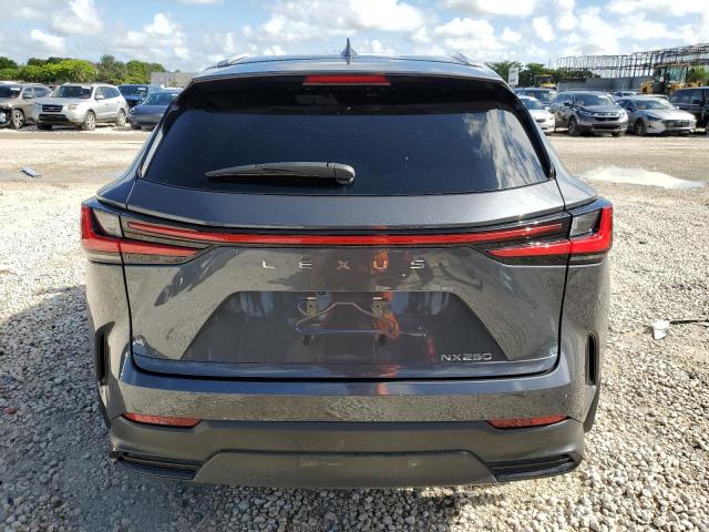 Photo 6 from auction – 2022 LEXUS NX 250 with VIN 2T2ADCAZ2NC001148