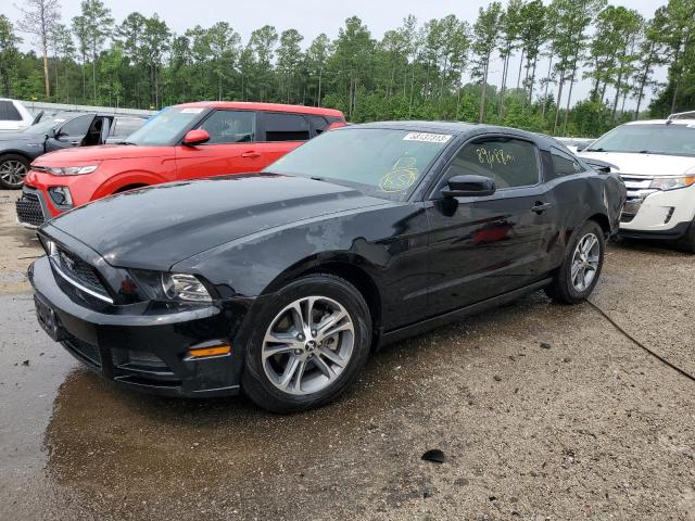 FORD MUSTANG 2014 with VIN 1ZVBP8AM3E5230675 - Photo from auction