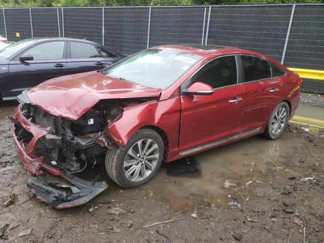 Photo 1 from auction – 2016 HYUNDAI SONATA SPO with VIN 5NPE34AF0GH395818