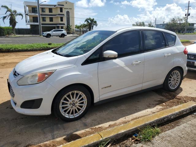 FORD C-MAX SE 2013 with VIN 1FADP5AU2DL542254 - Photo from auction