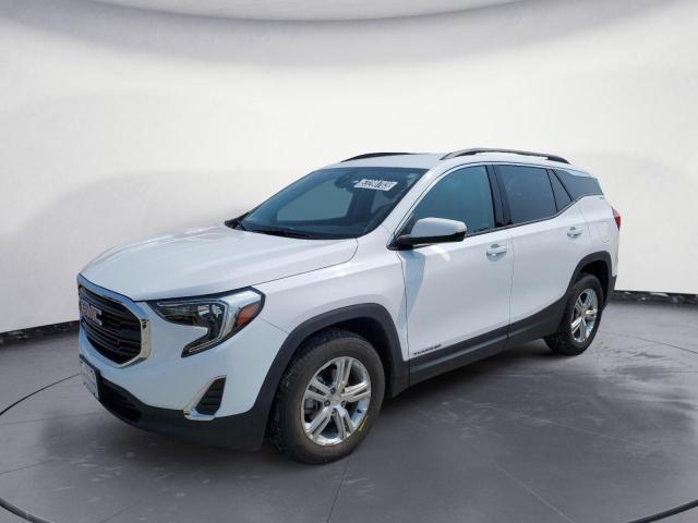 GMC TERRAIN SL 2020 with VIN 3GKALTEV4LL253996 - Photo from auction