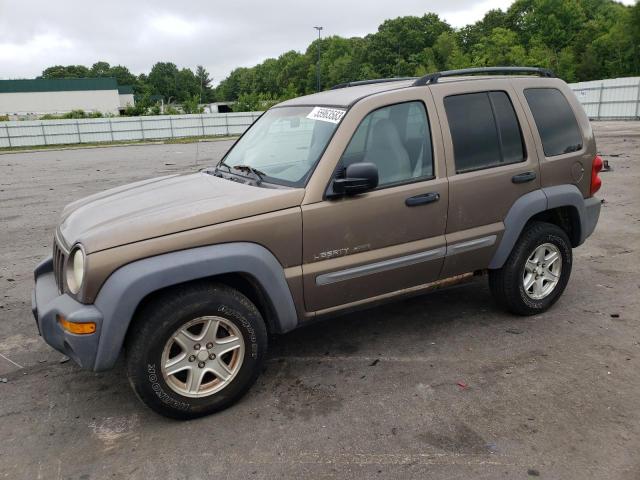JEEP LIBERTY SP 2002 with VIN 1J4GL48K42W136998 - Photo from auction