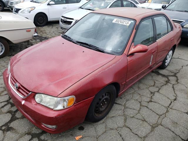 TOYOTA COROLLA CE 2001 with VIN 1NXBR12E81Z442057 - Photo from auction