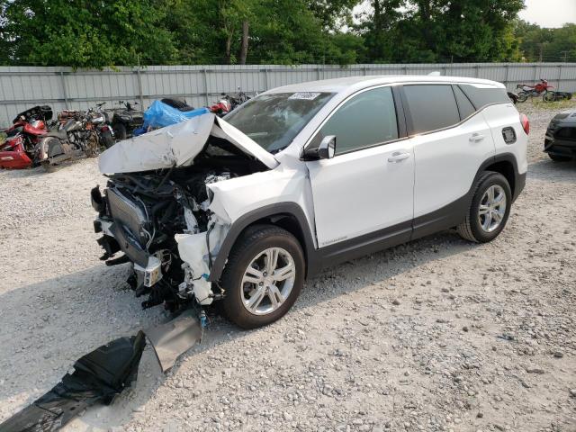 GMC TERRAIN SL 2020 with VIN 3GKALMEV4LL188685 - Photo from auction