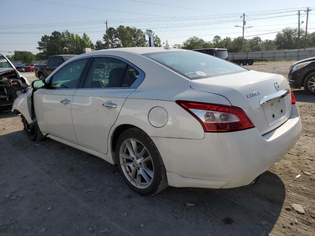 Photo 2 from auction – 2010 NISSAN MAXIMA S with VIN 1N4AA5AP9AC830122