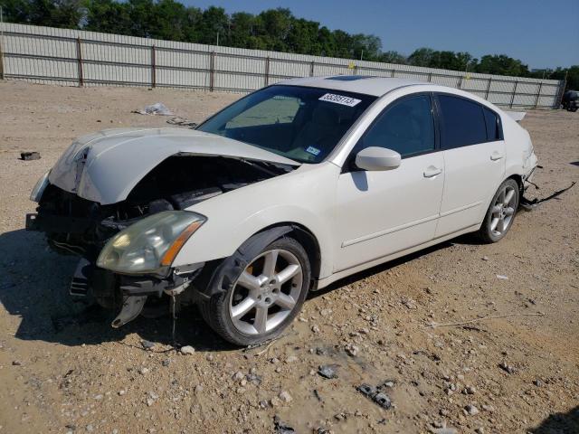 NISSAN MAXIMA SE 2006 with VIN 1N4BA41E66C838344 - Photo from auction