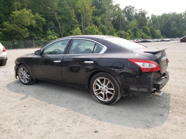 Photo 2 from auction – 2010 NISSAN MAXIMA S with VIN 1N4AA5AP3AC859907