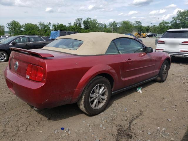 Photo 3 from auction – 2005 FORD MUSTANG with VIN 1ZVFT84N455215734