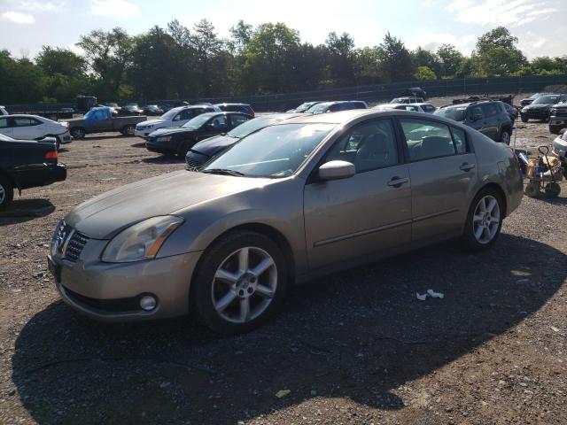 NISSAN MAXIMA SE 2006 with VIN 1N4BA41E66C806350 - Photo from auction