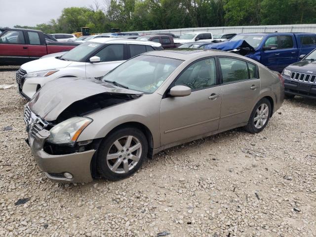 NISSAN MAXIMA SE 2006 with VIN 1N4BA41E06C834998 - Photo from auction