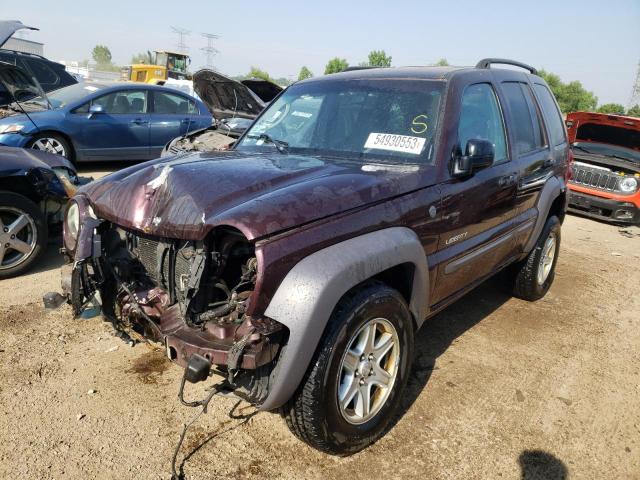 JEEP LIBERTY SP 2004 with VIN 1J4GL48K44W144411 - Photo from auction