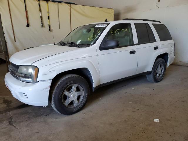 CHEVROLET TRAILBLAZE 2006 with VIN 1GNDS13S562146395 - Photo from auction