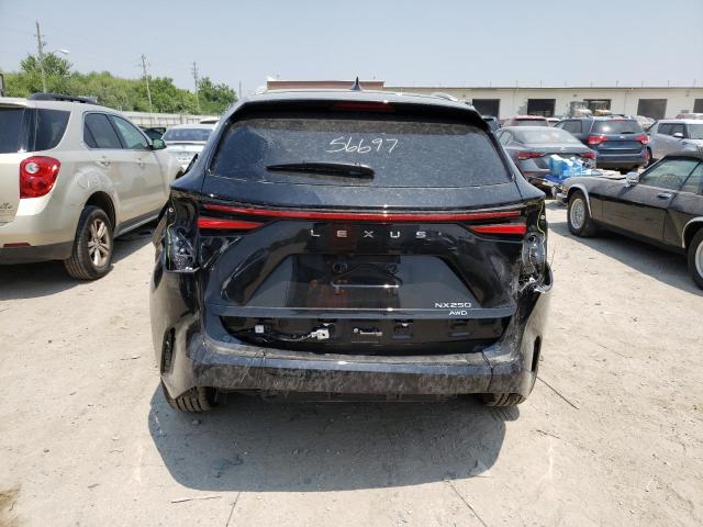 Photo 6 from auction – 2023 LEXUS NX 250 with VIN 2T2ADCEZ4PC002962