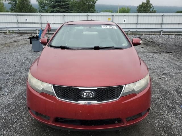 Photo 5 from auction – 2010 KIA FORTE EX with VIN KNAFU4A22A5096981