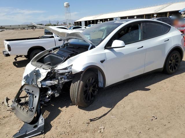 TESLA MODEL Y 2022 with VIN 7SAYGDEE2NF386295 - Photo from auction