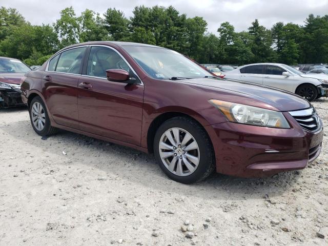 Photo 4 from auction – 2011 HONDA ACCORD EXL with VIN 1HGCP2F87BA080316