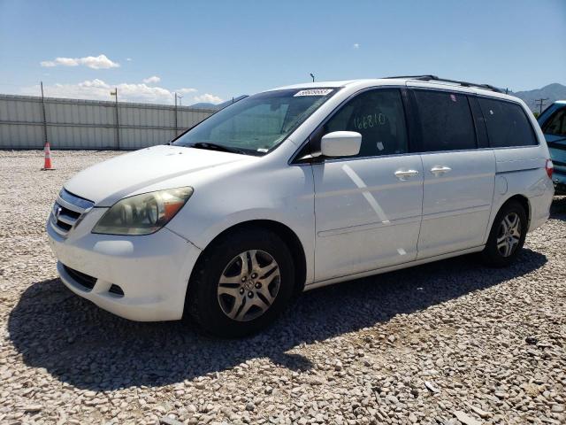 HONDA ODYSSEY EX 2005 with VIN 5FNRL38765B102008 - Photo from auction