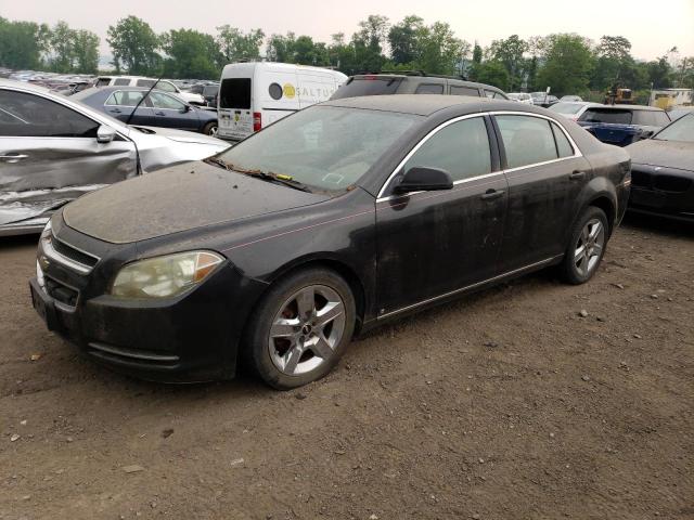 CHEVROLET MALIBU 2009 with VIN 1G1ZH57BX9F253320 - Photo from auction