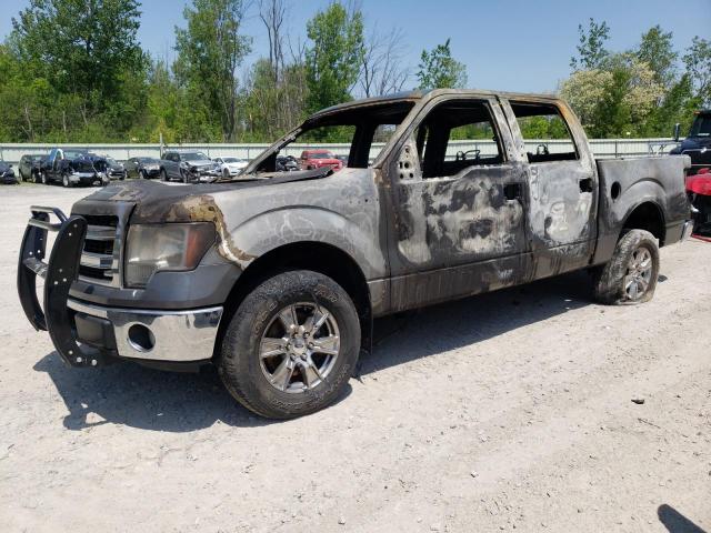 FORD F150 SUPER 2014 with VIN 1FTFW1EF2EFB17904 - Photo from auction