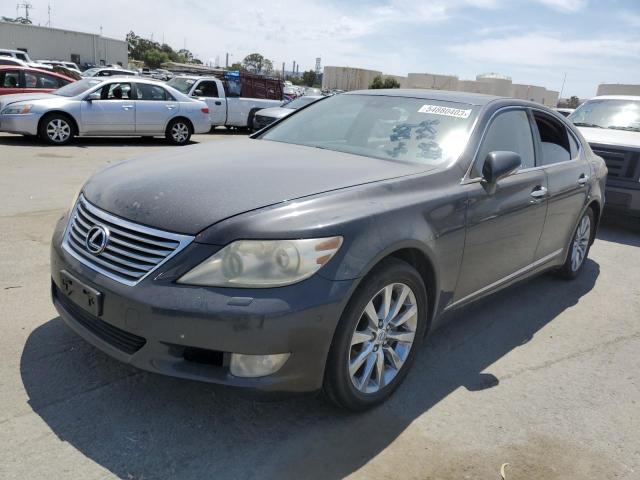 LEXUS LS 460 2010 with VIN JTHBL5EF2A5093083 - Photo from auction