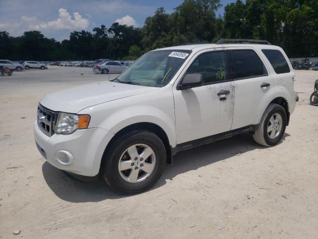 FORD ESCAPE XLT 2010 with VIN 1FMCU0DG9AKD12215 - Photo from auction