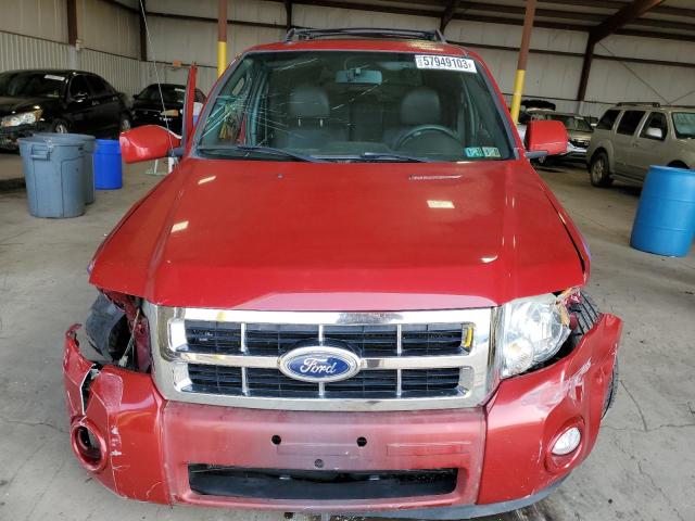 Photo 5 from auction – 2010 FORD ESCAPE LIM with VIN 1FMCU0EG8AKB21688