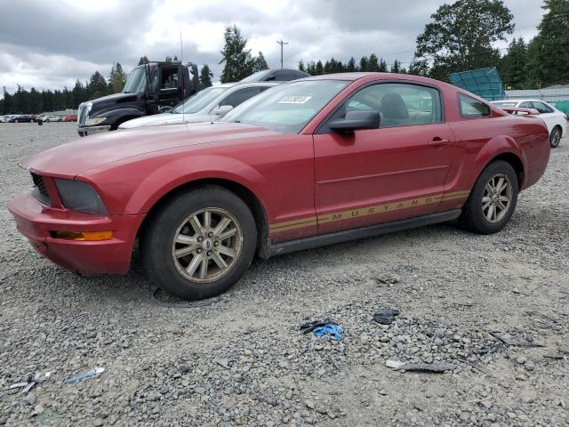FORD MUSTANG 2006 with VIN 1ZVFT80N665159884 - Photo from auction