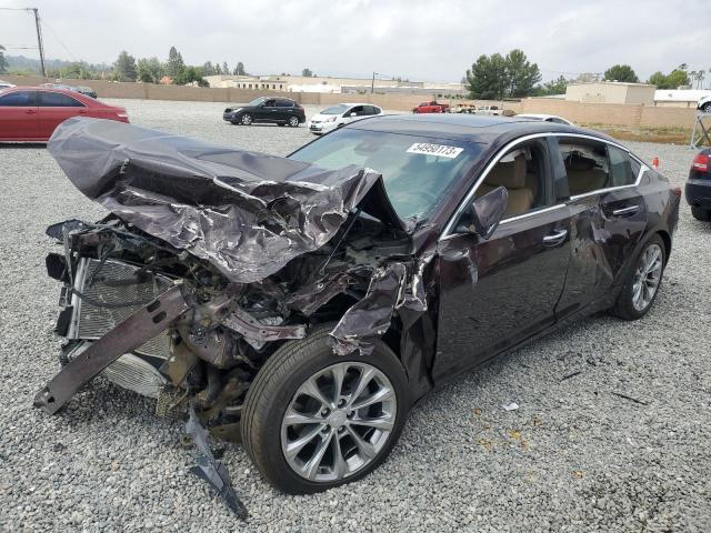 CADILLAC CT5 PREMIU 2021 with VIN 1G6DN5RK9M0124832 - Photo from auction