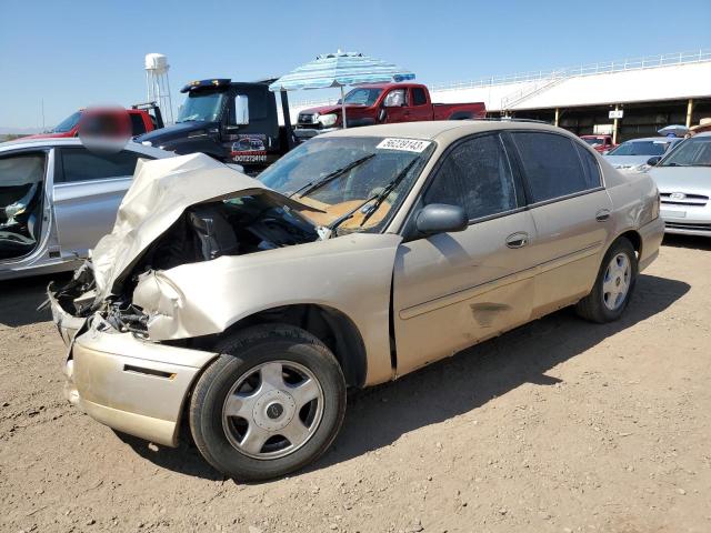 CHEVROLET MALIBU 2002 with VIN 1G1ND52J92M501812 - Photo from auction